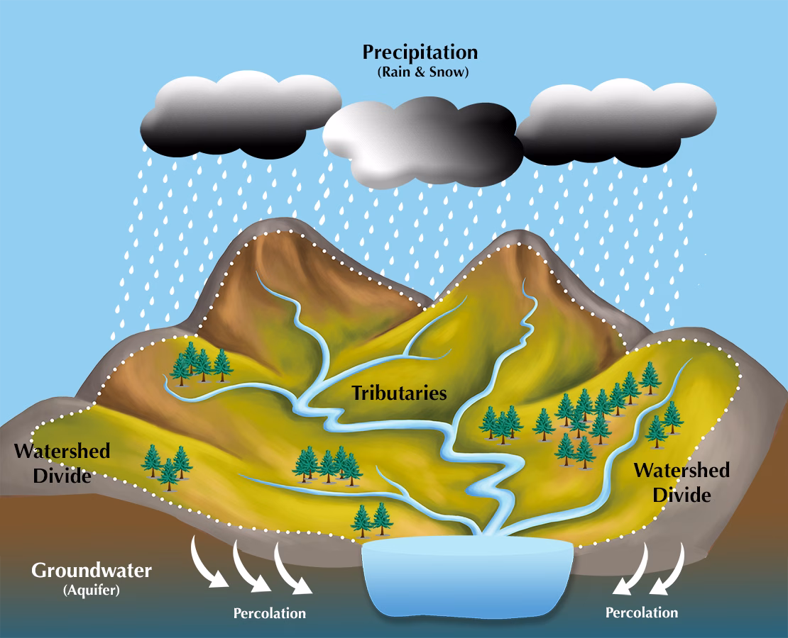 Diagram of a watershed showing precipitation, tributaries, watershed divides and groundwater
